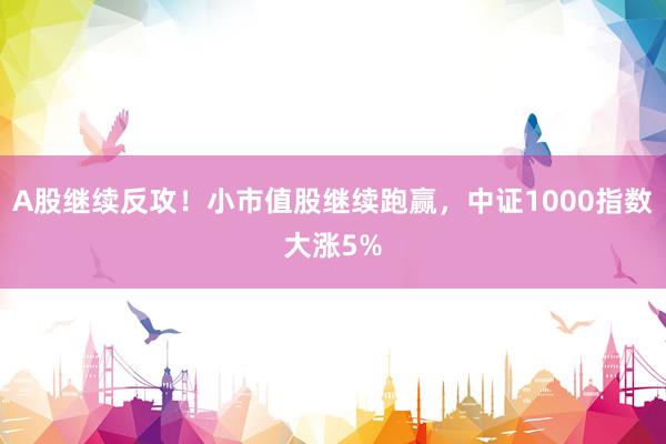 A股继续反攻！小市值股继续跑赢，中证1000指数大涨5%