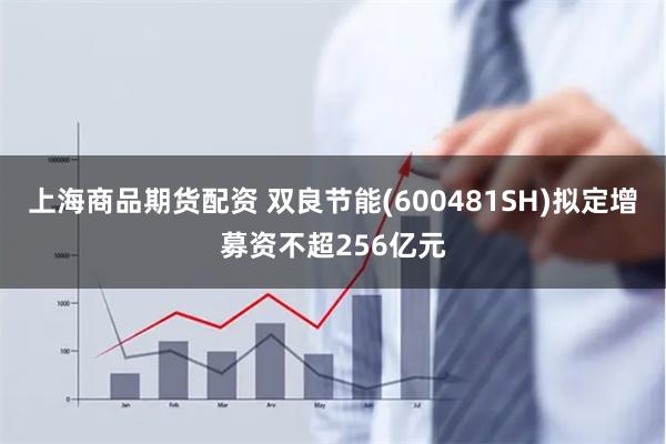 上海商品期货配资 双良节能(600481SH)拟定增募资不超256亿元