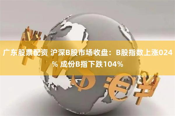 广东股票配资 沪深B股市场收盘：B股指数上涨024% 成份B指下跌104%